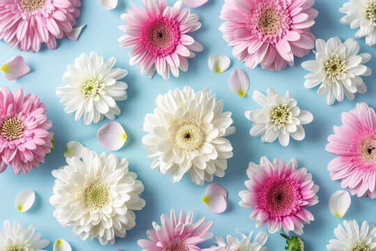 Fototapeta A bunch of pink and white flowers on a blue background created with generative AI technology