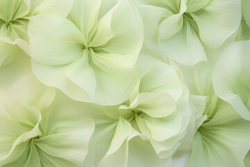 Delicadas flores de tonos verde pálidos.