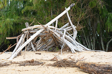 A makeshift shelter is made out of driftwood on Mahaulepu Beach on the island of Kauai, Hawaii