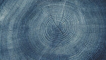 old wooden oak tree cut surface detailed indigo denim blue tones of a felled tree trunk or stump rough organic texture of tree rings with close up of end grain - obrazy, fototapety, plakaty