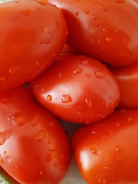 Close-up photo of fresh red tomatoes with water droplets on them