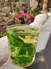 A cup of hot mint in the early morning in the garden setting