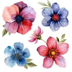 Set watercolor flowers. Different types 4 flowers. four flowers isolated, flat watercolor clipart set with white background . soft pastel color