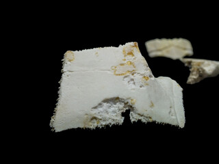 Superficial shell abscesses and erosions, or shell rot