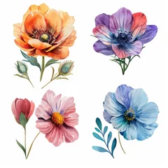 Fototapeten Set watercolor flowers. Different types 4 flowers. four flowers isolated, flat watercolor clipart set with white background . soft pastel color © megavectors