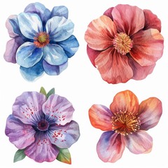 Set watercolor flowers. Different types 4 flowers. four flowers isolated, flat watercolor clipart set with white background . soft pastel color