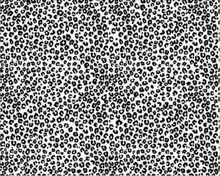 black and white background leopard
