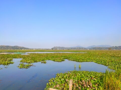 The Khambrenga Beel is a freshwater lake in Thakurkuchi Village in Assam, North-East India. A beautiful place outskirts of Guwahati to spend a day with family.