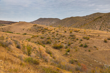 Landscape of the Armenian steppe. Armenia. - 705246021
