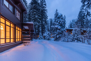 Magnificent view of the snow-covered forest on a private territory with a wooden house. .Evening...