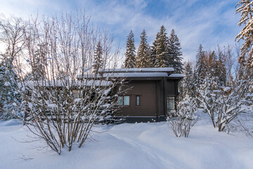 A wooden house surrounded by snow-covered fir trees, against a clear blue sky.