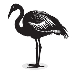 Flamingo silhouettes and icons. Black flat color simple elegant white background Flamingo birds vector and illustration.