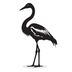 Obraz premium Flamingo silhouettes and icons. Black flat color simple elegant white background Flamingo birds vector and illustration.