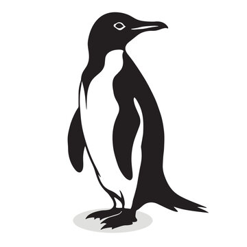 Penguin silhouettes and icons. Black flat color simple elegant white background Penguin birds vector and illustration.