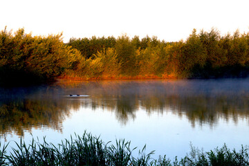 Fototapeta premium Morning atmosphere by the lake on a morning in September