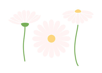 daisy set of cute hand drawn flowers vector illustration. minimalist flower decoration