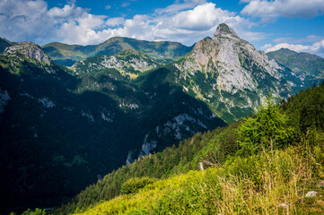 Naturalistic excursion among the forests and mountain pastures of Carnia. - 705252617