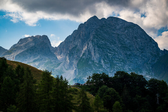 Naturalistic excursion among the forests and mountain pastures of Carnia.