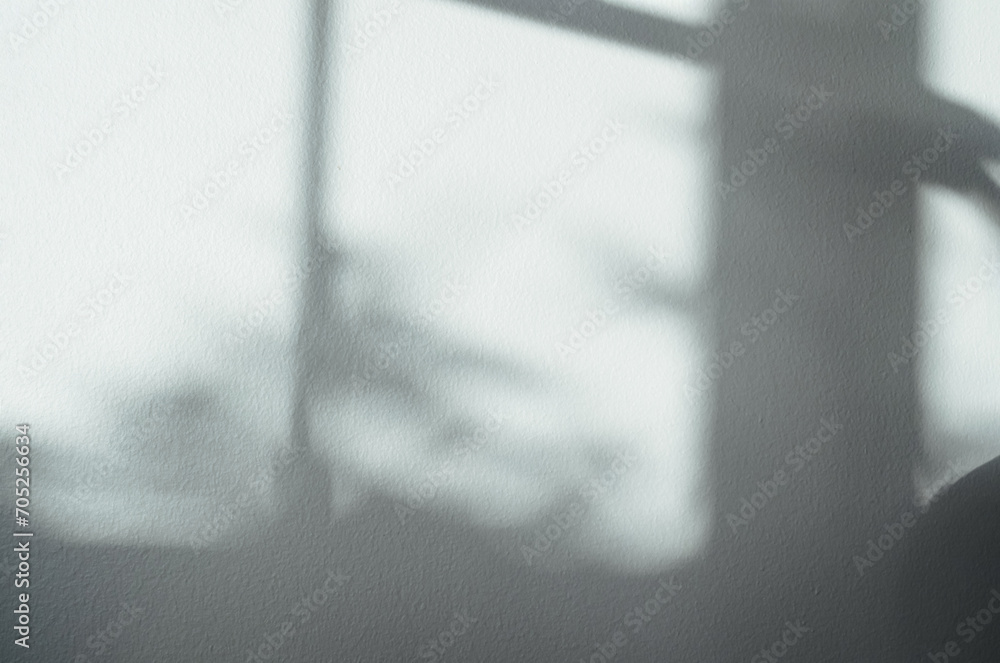 Poster green studio background with light,leaves shadow on cement wall texture,empty room display for produ