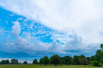 Scenery meadow and lake in outdoor park. Landscape of nature. Scenic landscape view of nature in park. Park with nature landscape. Lush greenery
