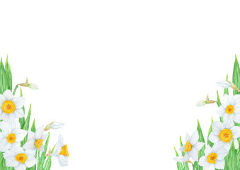 Obraz premium Narcissus, watercolor illustration of daffodils. Hand drawn watercolor frame of a fragrant spring garden flowers. White and yellow botanical painting for greeting, wedding, Easter, Mothers day print