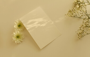 Flower, Empty Blank texture canvas paper card for your text message. Light and shadows minimalism style template beige background.