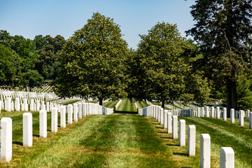 Fototapeta na wymiar Panoramic view of Arlington National Cemetery, the most famous cemetery in the military world, located in Washington DC (United States).