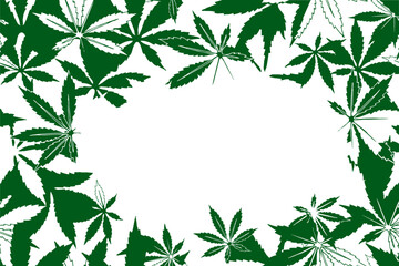 Cannabis leaves background. Cannabis foliage. Hemp. Sketch vector illustration