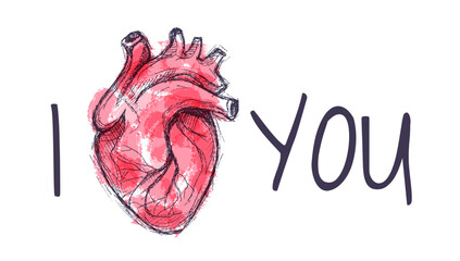 I love you lettering and red heart. Valentines day sketch. Greeting card. Realistic human heart.
