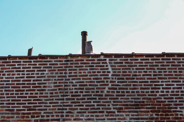 an image of brick with brickwork in the middle of it