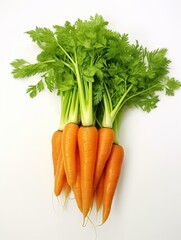 A bunch of fresh carrots with green leaves
