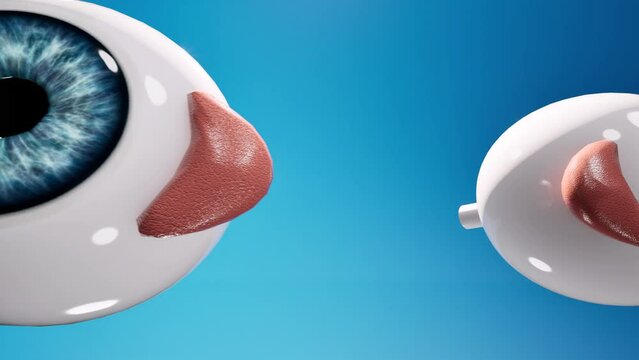 4K 3D Eye medical Anatomy
