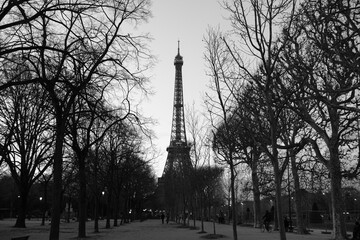 Dusk in Paris, simple image with a background of the silhouette of tree branches in winter in nostalgic and evocative black and white.