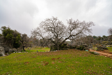 Majestic view of valley with beautiful rock formations on a autumn day. Adamkayalar, Selge, Manavgat, Antalya, Turkey.