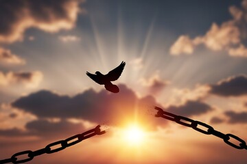 Steel wire broken  with bird at sunset background