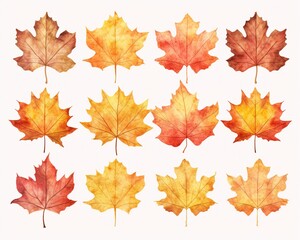 Naklejka na ściany i meble Watercolor Autumn Leaves Collection
