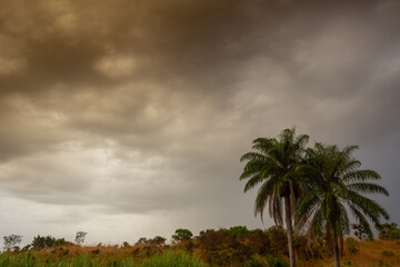 Fototapeta na wymiar Storm clouds over the countryside with palm trees.