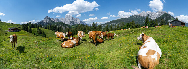 Alpenpanorama - Kühe weiden auf einer Alm mit atemberaubendem Gebirge im Hintergrund,...