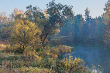 Early morning  at foggy summer river - 705275043