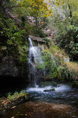 waterfall in the forest
