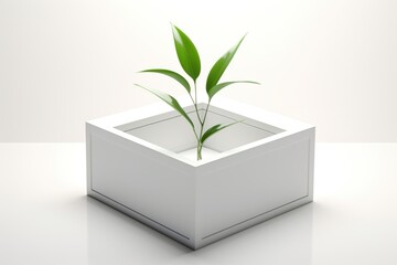 A small green plant growing inside a white box