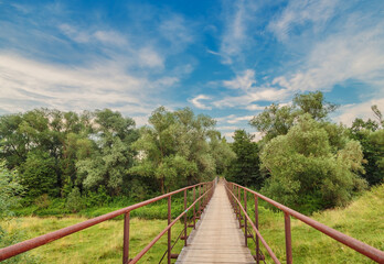 Bridge over a river in the summer forest