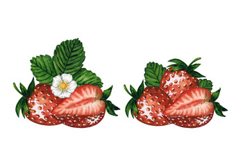 Watercolor strawberry compositions set with berries, leaves and flowers isolated on white background, hand painted watercolor illustration. For patterns, textile, postcards, invitations, stickers.
