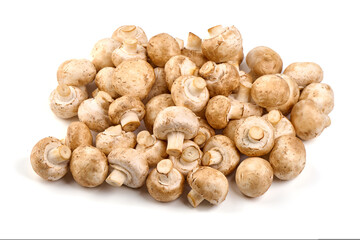 Champignons, close-up, isolated on white background