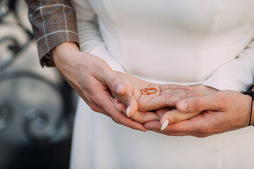 The image shows a person holding a small insect in their hand 5219.