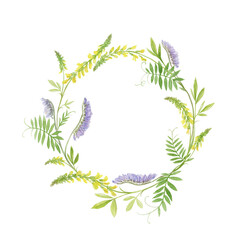Wreath of wild yellow and violet flowers. Hand-drawing circle frame with melilot and vicia. Cute botanical illustration of a herb circlet wihtout background.