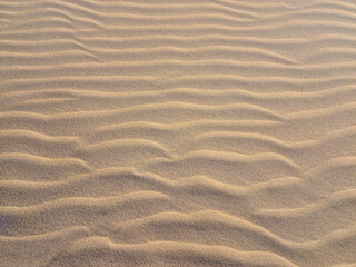 Fototapeta na wymiar wave sand texture, desert background sandy beach