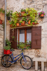 Fototapeta na wymiar bicycle with a basket near a wall with a window with open shutters and red fresh homemade flowers in pots