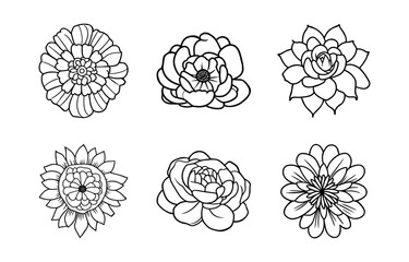Hand drawn simple flower illustration