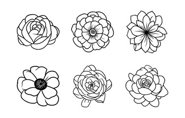 Hand drawn simple flower illustration